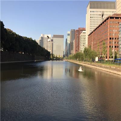 bb贝博官方平台下载