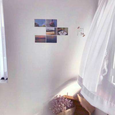 凤凰彩票appapp下载