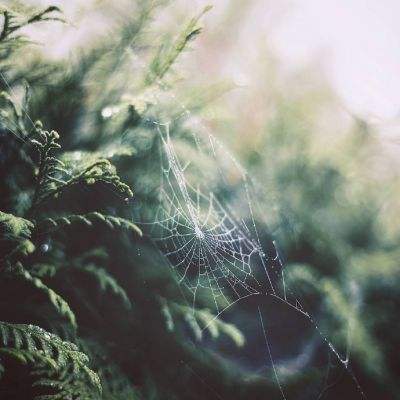 宝威体育官网手机app下载