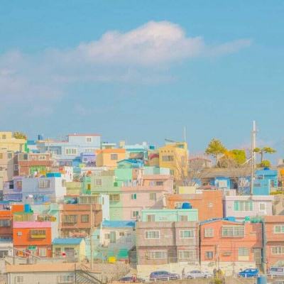 华体会体育app下载截图